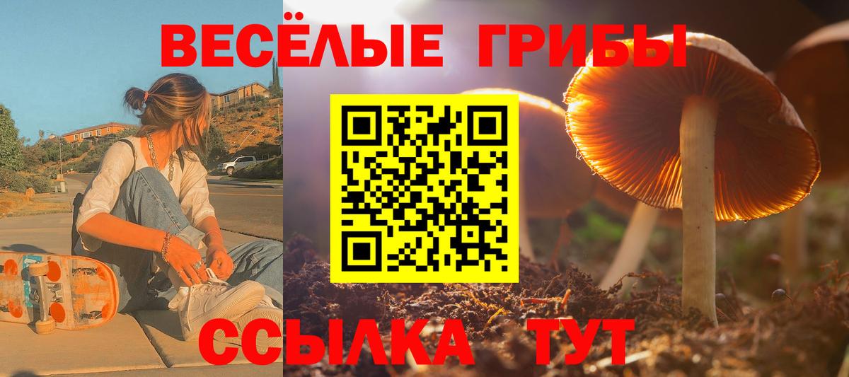 Галлюциногенные грибы прущие грибы Ачинск